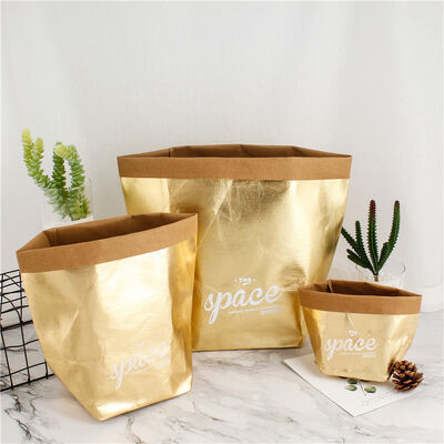Manufacturer Wholesale Creative Nordic-Style Washable Kraft Paper Bags Tear-Resistant Refrigerator Storage Bags Flower Pots